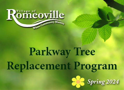 Parkway Tree Program 2024