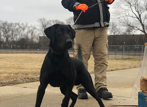 Fire Department Training 