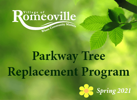 Parkway Tree Program