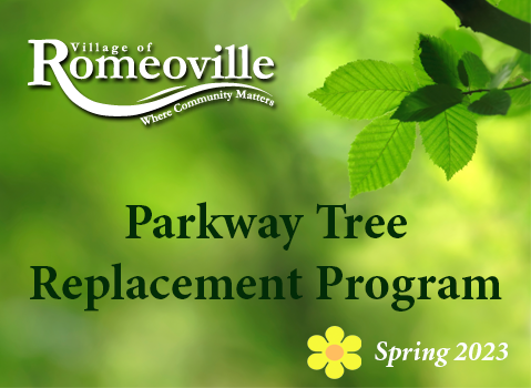 Parkway Tree Program 2023