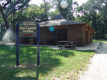 Pete Capone Pavilion at OHara Woods